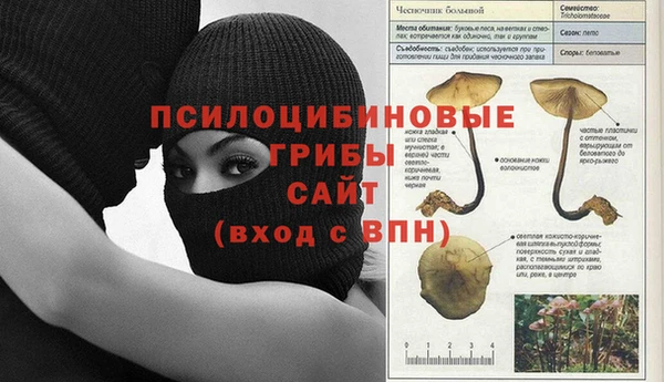 a pvp Белокуриха