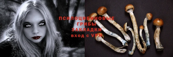 a pvp Белокуриха
